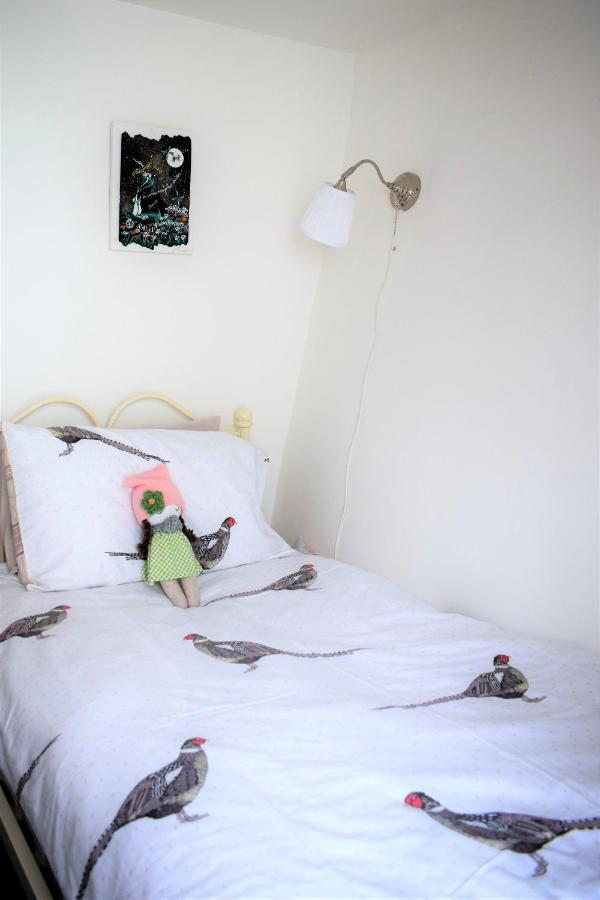 Higher Primrose Cottage Winkleigh Экстерьер фото
